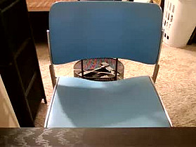 melxiss Cam