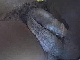 dadyschlong Cam
