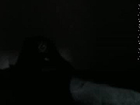 effy_gray Cam