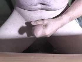 0815____pet Cam