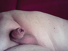 micropimmel Cam