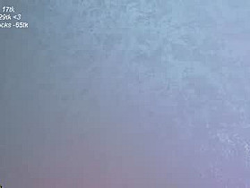 leia_bell Cam