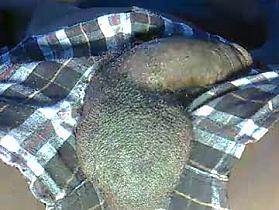 dadyschlong Cam
